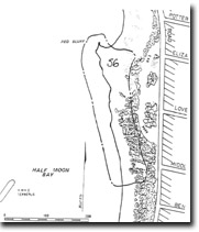 56 Red Bluff - Type Section