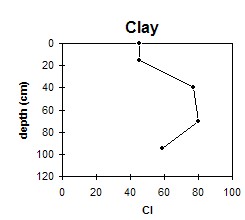 ASSS4 Clay