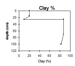 Asss6 clay