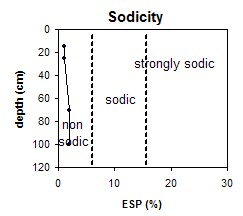Asss6 sodicity