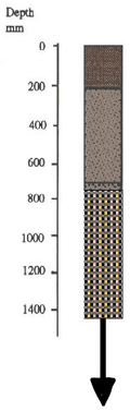IMAGE: Bittern Sand typical soil profile