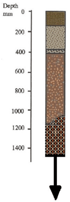 IMAGE: Bittern Sandy Loam typical profile