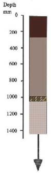 IMAGE: Cranbourne Sand map unit typical soil profile