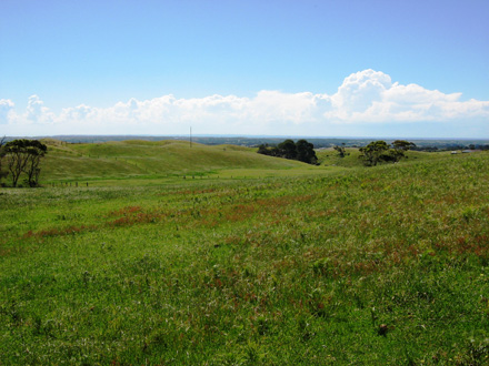  Cups landscape