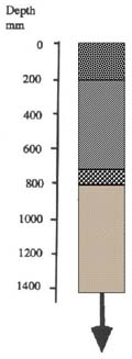 IMAGE: Dalmore Clay typical soil profile