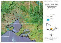 Eruption Points of the Newer Volcanics