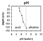 GRAPH: Soil Site GP21 pH