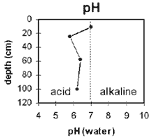 GRAPH: Soil Site GP22 pH