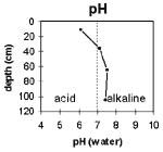GRAPH: Soil Site GP24 pH