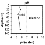GRAPH: Soil Site GP27 pH