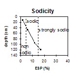 GP53 sodicity