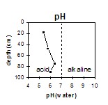 GP54 pH
