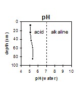 GP55 pH