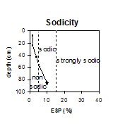 GP55 Sodicity