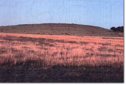 Image: Eruption Point Hayes Hill