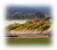 Photo: Port Phillip and Westernport Landform Montage