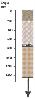 IMAGE: Langwarrin sand typical soil profile