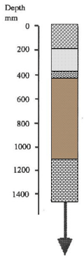 IMAGE: Langwarrin loam typical soil profile