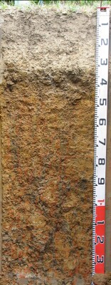 MOP1 Profile