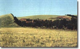 Image: Eruption Point Mt Fraser
