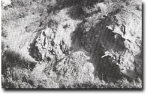 Image: Sites of Significance Port Phillip Bay