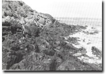Image: Sites of Significance Port Phillip Bay