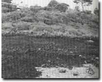 Image: Sites of Significance Port Phillip Bay