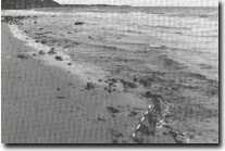 Image: Sites of Significance Port Phillip Bay