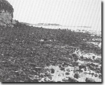 Image: Sites of Significance Port Phillip Bay