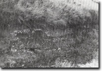 Image: Sites of Significance Port Phillip Bay