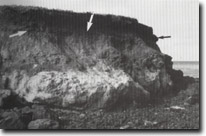 Image: Sites of Significance Port Phillip Bay
