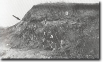 Image: Sites of Significance Port Phillip Bay