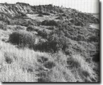 Image: Sites of Significance Port Phillip Bay