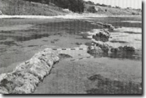 Image: Sites of Significance Port Phillip Bay