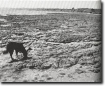 Image: Sites of Significance Port Phillip Bay