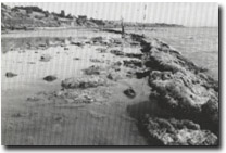 Image: Sites of Significance Port Phillip Bay