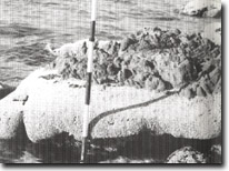 Image: Sites of Significance Port Phillip Bay