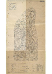 A study of soil in the Reefton experimental area; with particular reference to Hyrological properties