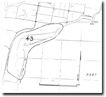 Sand Hummocks
