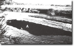 Image: Upper Yarra Sites of Significance