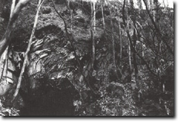 Image: Upper Yarra Sites of Significance