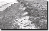 Image: Sites of Significance Port Phillip Bay