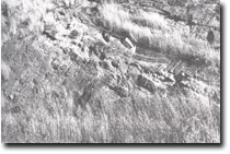 Image: Sites of Significance Port Phillip Bay