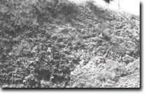 Image: Sites of Significance Port Phillip Bay
