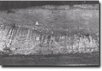 Image: Sites of Significance Port Phillip Bay