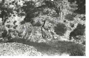 Image: Sites of Significance Werribee 