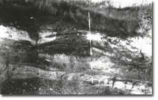 Image: Sites of Significance Werribee L8