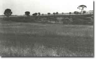 Image: Sites of Significance Werribee 