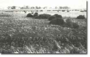 Image: Sites of Significance Werribee 