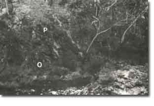 Image: Sites of Significance Werribee CH6